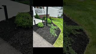 Black Mulch Install! #landscape #landscaping #mulching