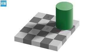 The Checker Shadow Illusion