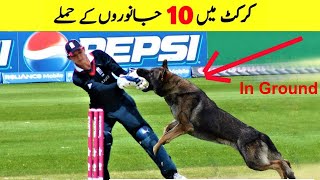 Top 10 funniest Animal Attack in Cricket Ground | funny animal attack in cricket 2022 #shaheenafridi