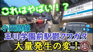 【これはやばい！】小田急線玉川学園前駅鬱クワガタ大量発生の変#1【鉄道ゆっくり茶番】