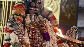 Thiruvallur Sri Vaithiya VeeraRagava Perumal | Choornabhishekam | Brahmotsavam Day 06 | Divya Desam