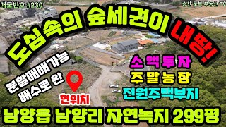 #230 도심속의 숲세권의토지, 송산그린시티 남측지구 산업단지의 개발호재권, 송산그린시티 송정리 유보지와 약 450 M거리라서 향후 투자로인한 시세차익 충분,분할 매매가능, 알땅