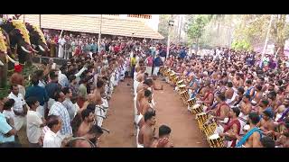 Kuttanellur pooram 2025- Pandimelam