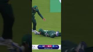 cricket wicket #latest #viral