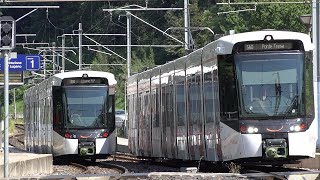 Ferrovia Lugano-Ponte Tresa, Nuovi Treni FLP Vol II