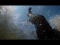 Biting Elbows - The Stampede (Music Video)