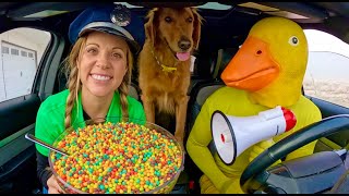 Rubber Ducky Surprises  Puppy \u0026 Police with Car Ride Chase!