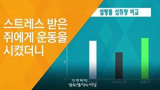 스트레스 받은 쥐에게 운동을 시켰더니 - (2017.3.29_616회 방송)_스트레스 어벤저스-제2부 우리 모두가 스트레스 어벤저스다