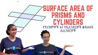 Grade 8 Maths Unit 7: 7.2.1 Surface Area of Prisms and Cylinders