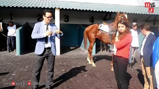 TÉLÉCHARGER SOREC GALOP GRATUIT GRATUIT GALOP TÉLÉCHARGER SOREC