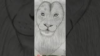 What a art 🎭 Drawn by me..😱 | A Lion 🦁 KING CHARACTER || #shorts#dreamberry#art #lioncharacter..