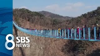 유행처럼 번진 출렁다리…사고 느는데 설치 기준 없다? / SBS