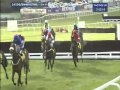 Cheltenham Festival 2013: Ryanair Chase - Cue Card