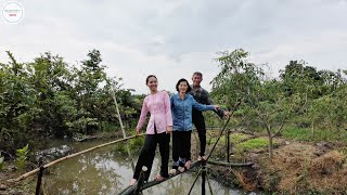 CÂY CẦU KHỈ Đã Xong Trong 1 Giờ, BẤT NGỜ ĐÓN CƠN MƯA LỚN Trái Mùa, CÁ ĐIÊU HỒNG NẤU NGÓT Giải Cảm