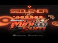 CD SEQUÊNCIA DE SAUDADE 2022 ( MINI SOM O PITBULL DO PARÁ ) - DJ RYAN MIX