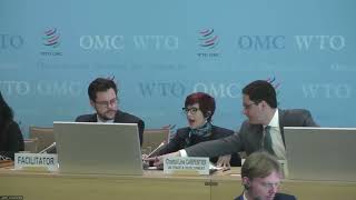 TESSD WG on TrCMs (16 Apr '24): Presentation by UN Trade \u0026 Development