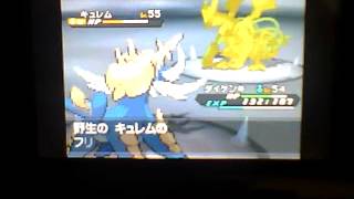 【BW2】ポケットモンスター　ブラック２　キュレム戦