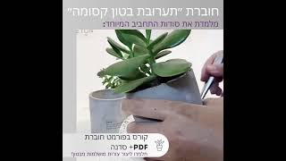 מדריך ״הרכב תערובת בטון מושלם״