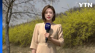 [날씨] 올봄 가장 따뜻, 서울 24℃...늦은 오후부터 단비 / YTN