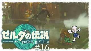 【#16】ゼルダの伝説 ティアーズ オブ ザ キングダム【羽渦ミウネル】