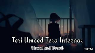 Teri Umeed Tera Intezar | Slowed And Reverb | Rishi Kapoor ,Divya Bharti | SCN Lofi Songs