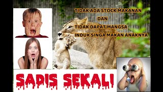 😵NGERI !! DETIK-DETIK MACAN DAN SINGA MAKAN ANAK NYA SENDIRI - NOT FOR SENSITIV VIEWERS🤐