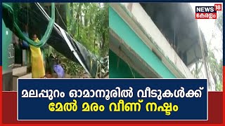 Kerala Rain 2023 | മലപ്പുറം ഓമാനൂരിൽ വീടുകൾക്ക് മേൽ മരം വീണ് നഷ്‌ടം | Malappuram