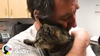 Hombre se reencuentra con su gato luego de 7 años desaparecido | El Dodo