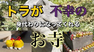 【お寺散策】虎が身代わりなってくれるお寺におじさん2人で行く