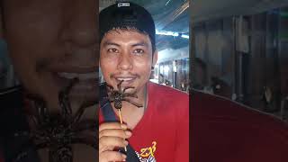 Thailand Spider Man 🇹🇭 #spider #food #streetfood #foodie #thailand #viral #youtube #reels #shorts