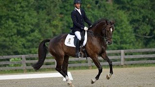 Ultimate Timing aka Smurf Schooling Dressage