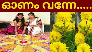 ഓണം വന്നേ...|| Onam celebration 2022 || ഓണാഘോഷം 2022 || My Dreams My Happiness