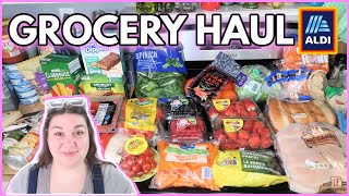 1-WEEK ALDI GROCERY HAUL & MEAL PLAN | MARCH 2025