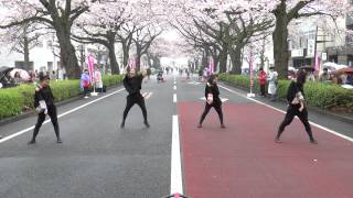 MY matsuri ひたち舞祭2015SPRING Hi-杯　Bステージ ～のほほん族 さん Spark the ☆ Dancers Kuga / 東京ラプソディオールドファッションラブソング