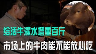 给活牛灌水增重百斤，在牛体内注胶，市场上的牛肉能不能放心吃？