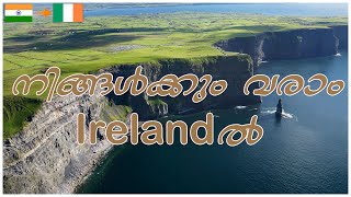 Irelandൽ ജോലി ചെയ്യാനുള്ള വിസ ഏതൊക്കെ | Ireland Work Permits Explained #irelandjobs