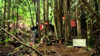 A Special Trial For Gino And Sabrina | I'm A Celebrity... Get Me Out Of Here!