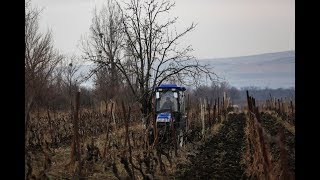 სოფელ კაკაბეთის ადგილობრივი მაცხოვრებლები სოფლის მხარდაჭერის პროგრამის შესახებ