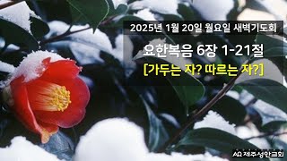 제주성안교회 1월 20일 월요일 새벽기도회