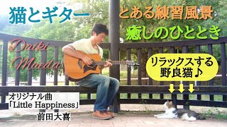 【猫とギター】とある練習中の癒しのひととき ／ 前田 大喜 (Daiki Maeda)