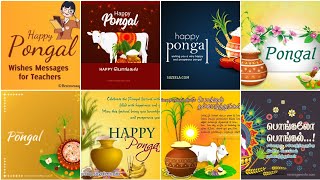 Happy Pongal wishes photo 2023 | Pongal quotes/images/pics/status | Pongal whatsapp status #pongal