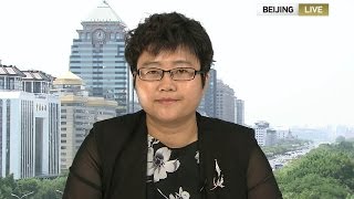 He Wenping discusses terrorists activities and trend in China