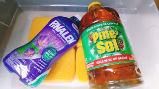 [ASMR] Pine Sol + Lavender Pinalen Sponge Squeezing