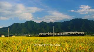 1709 11 0089　別所線の丸窓電車と稲穂実る田園と独鈷山と夫神岳