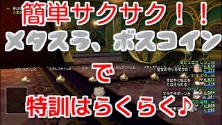 ドラクエ10実況【簡単サクサク！メタスラ、ボスコインで特訓はらくらく♪】