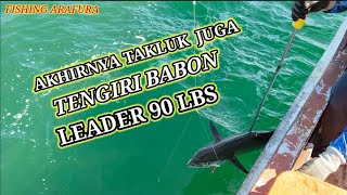 AKHIRNYA TAKLUK JUGA TENGGIRI BABON.LEADER 90 LBS