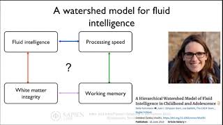 Fluid Intelligence Across the Lifespan: Brains and Behaviour | Dr. Rogier Kievit