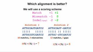 Quantitative Biological Research with Python - Lesson 5, Lecture - Sequence Alignment