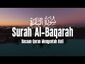 Surah Al Baqarah Dengan Suara Indah Membuat Hati Tenang | Ahmad Al Shalabi