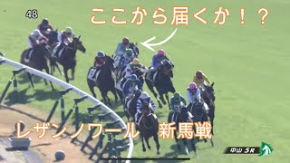 12月2日　中山競馬　レザンノワール　新馬戦